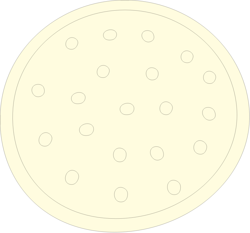 Centric Diatom