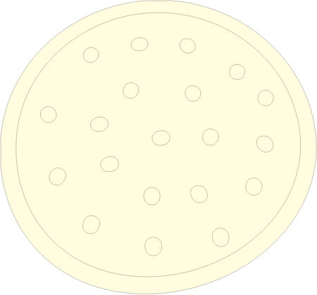 Centric Diatom