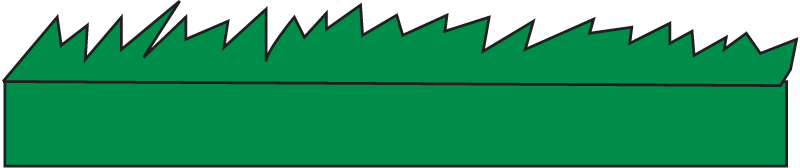 Epilithic Algae