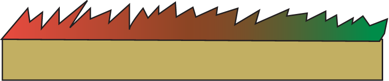 Turf Algae