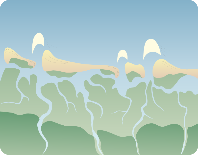 Coastline 2d Barrier Island with Mixed Energy