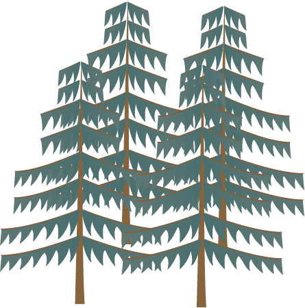 Pine Plantation