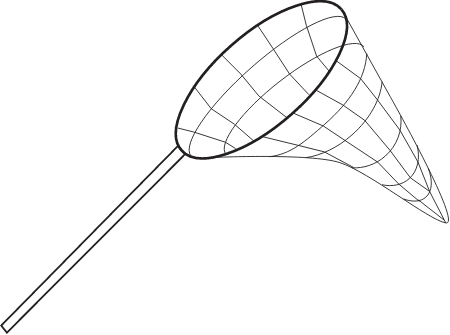 Net