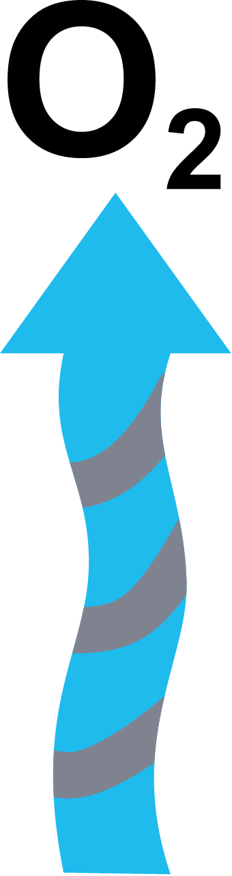 Process Oxygen Out