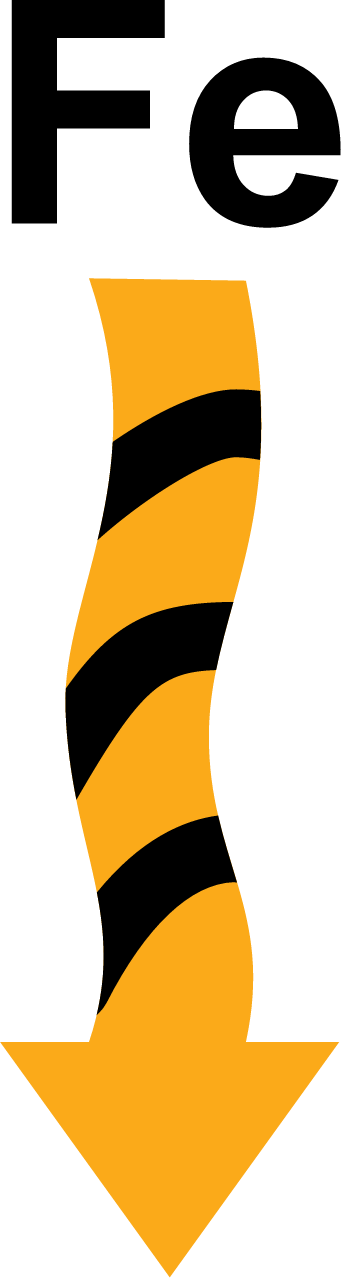 Process Iron in