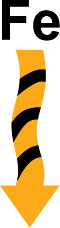 Process Iron in