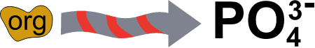 Process Phosphate Remineralization