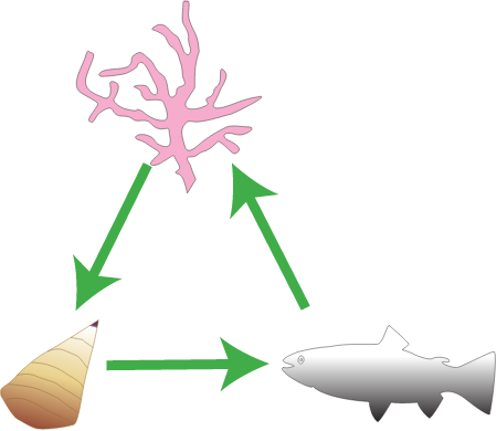 Food Webs Grazing