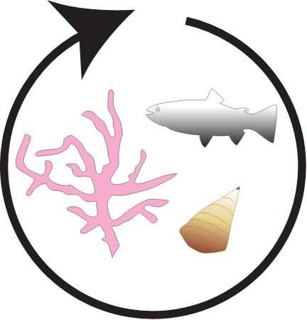 Food Webs Grazing