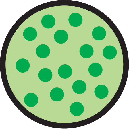 Concentration High Chlorophyll