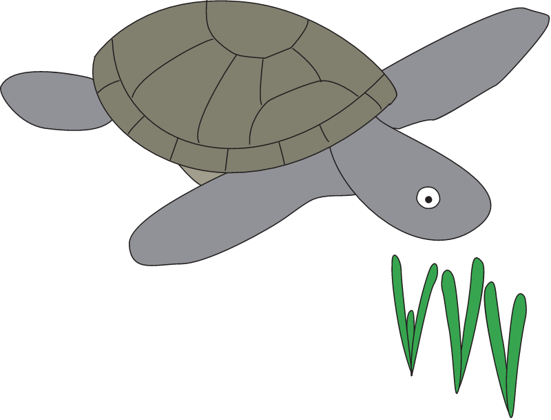 Grazing Turtle