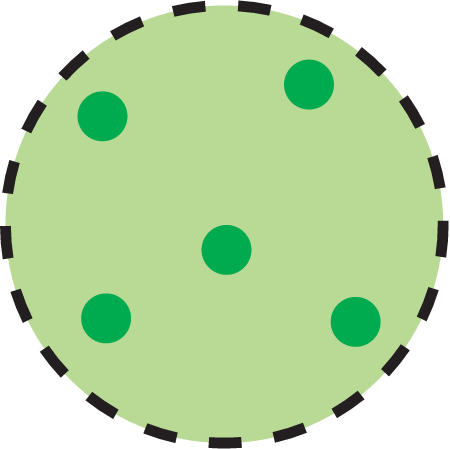 Concentration Low Chlorophyll