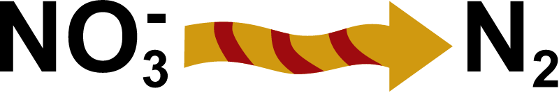 Process Denitrification
