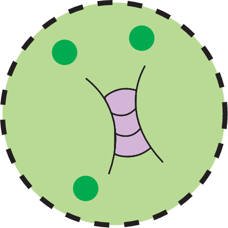 Concentration Low Phytoplankton
