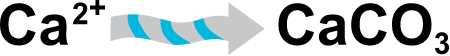 Process Calcification