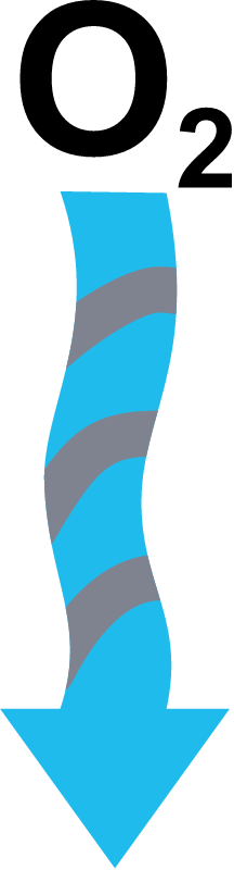 Process Oxygen in