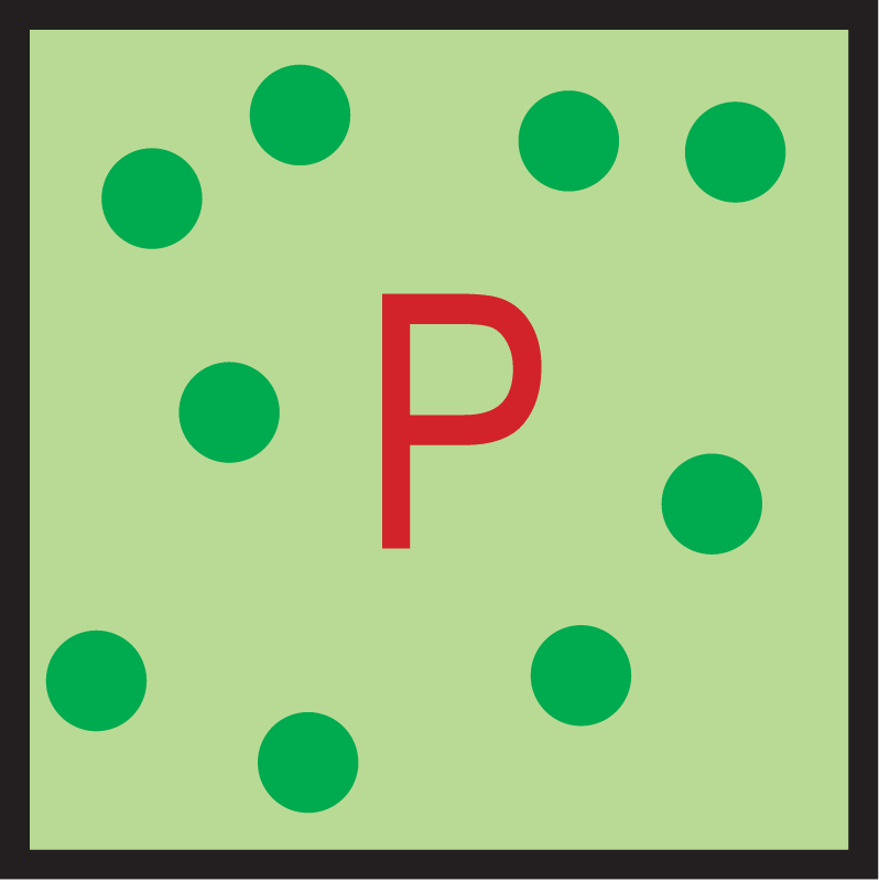 Response Bioassay High P