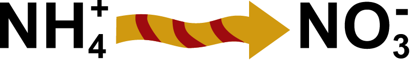 Process Nitrification
