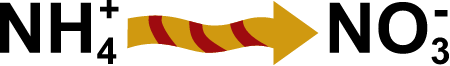 Process Nitrification
