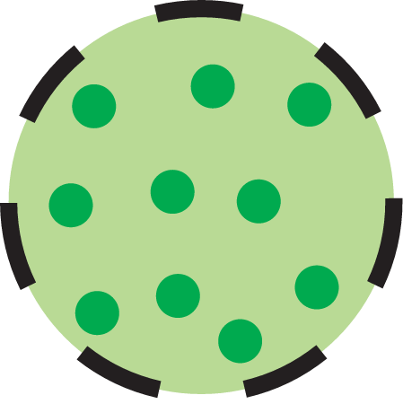 Concentration Intermittent Chlorophyll