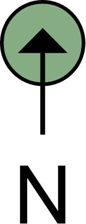 Uptake Nitrogen