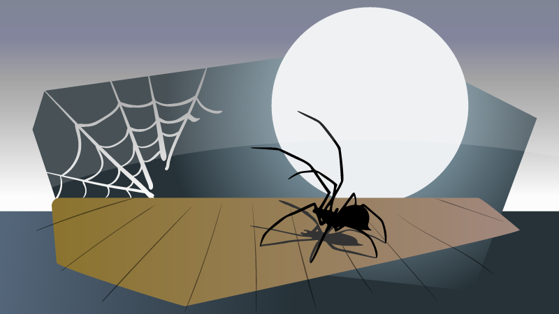 Halloween Spider Night Scene