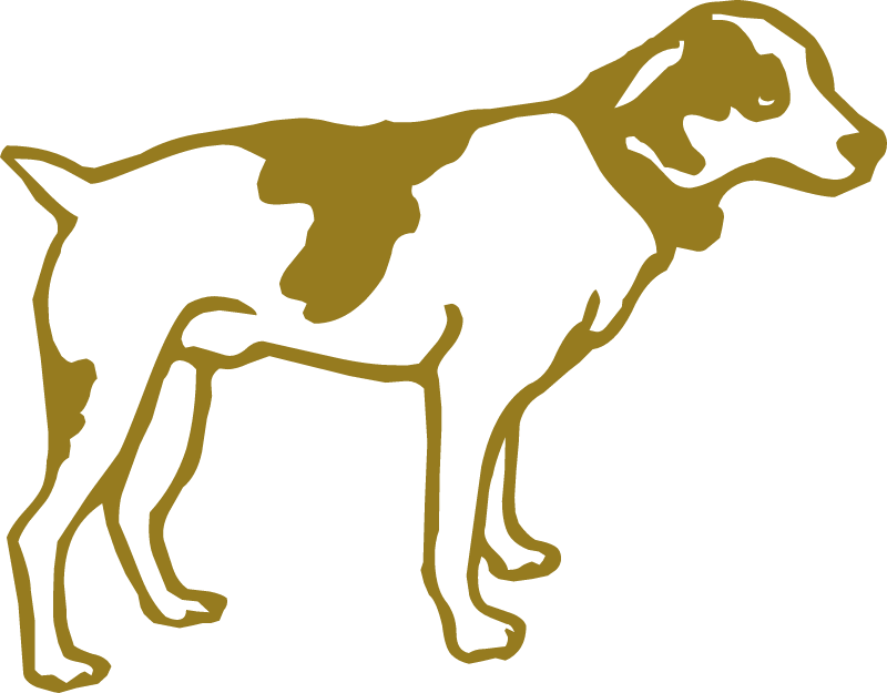 Golden Dog
