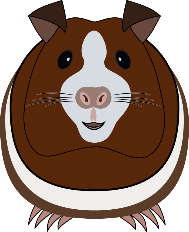 Guinea Pig - Vector Synthesis