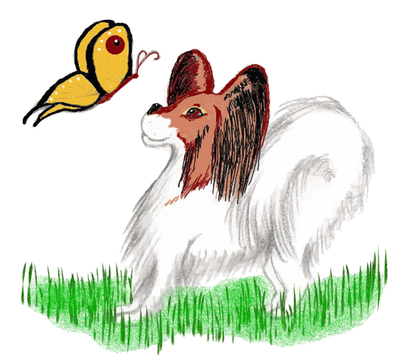 Papillon Dog with Butterfly – Summer Fey Foovay