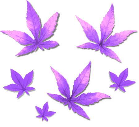 Purple Foliage – Fall