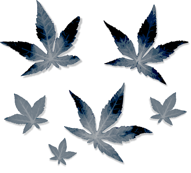 Gray Foliage