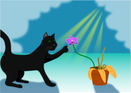 Black Cat Playing with Orchid