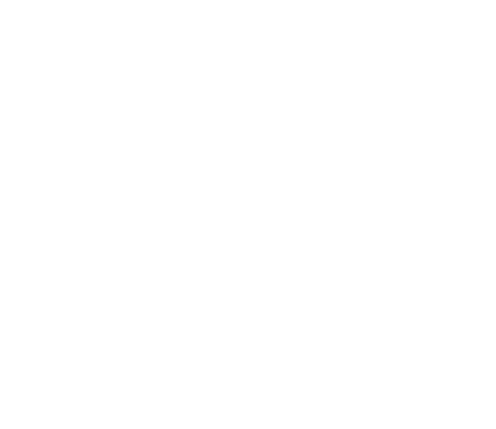 White Heart Icon