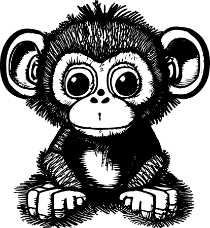 Plush Monkey Toy