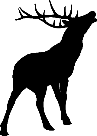 Deer Silhouette