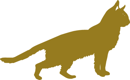 Golden Cat