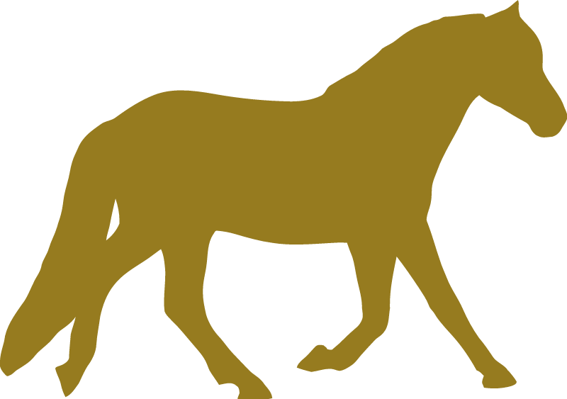 Trotting Horse Icon