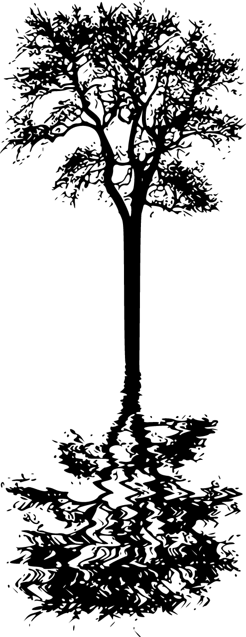 Tree Reflection (Pixabay)