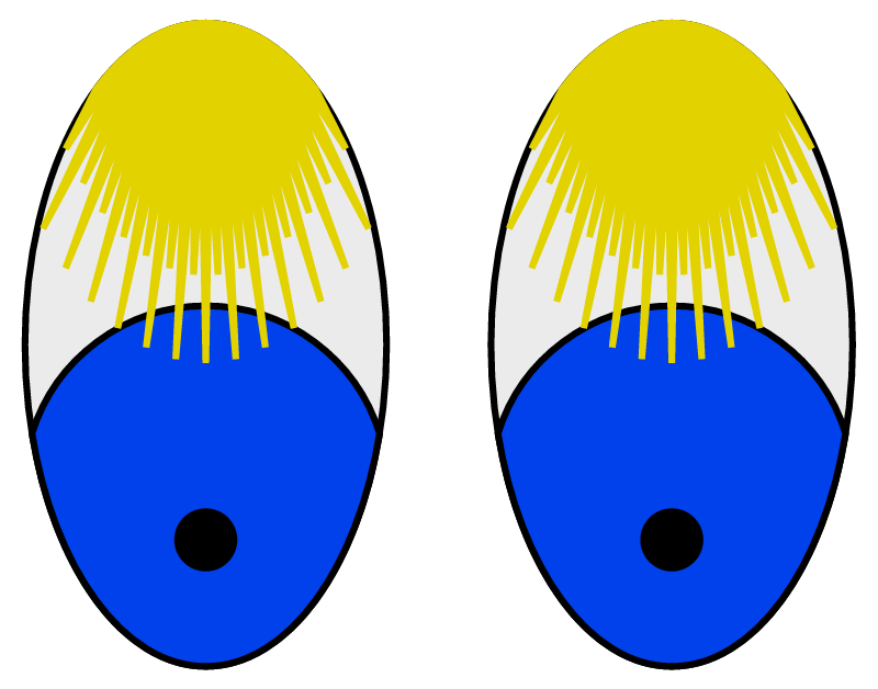 Bashful Eyes – Blond Lashes
