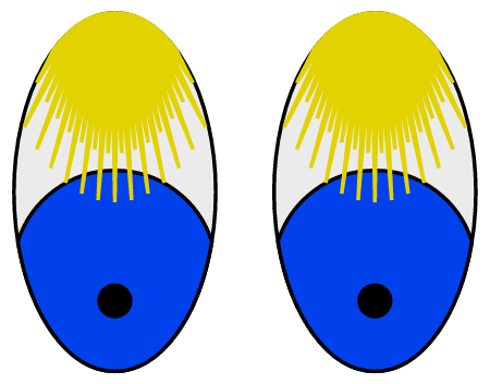 Bashful Eyes – Blond Lashes