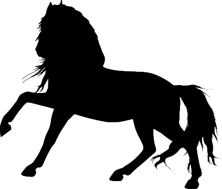 Horse Silhouette