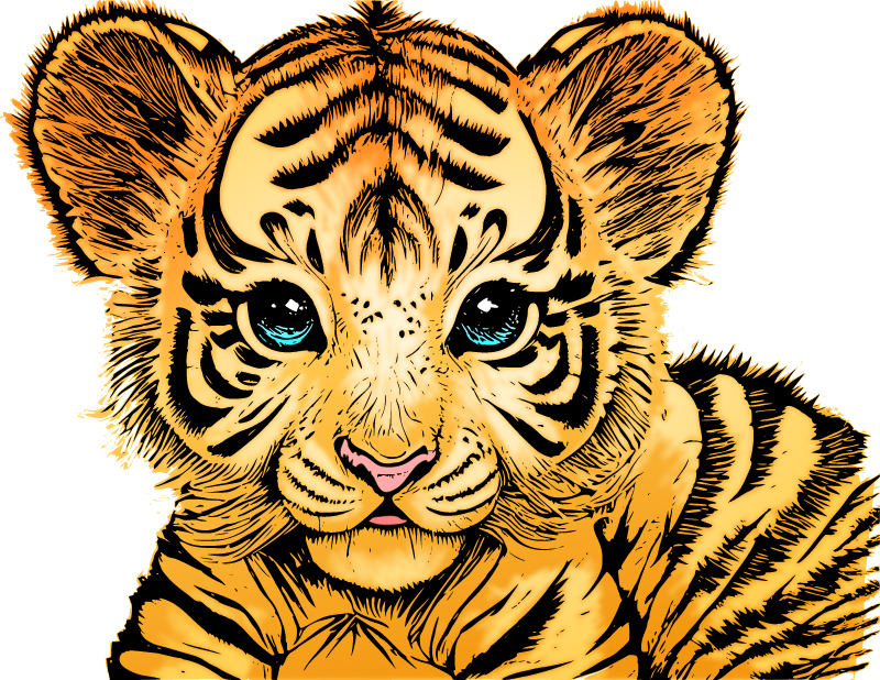 Little Tiger