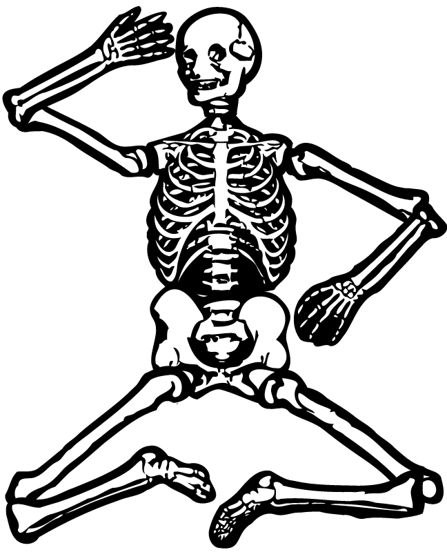 Articulated Skeleton (Simplified)