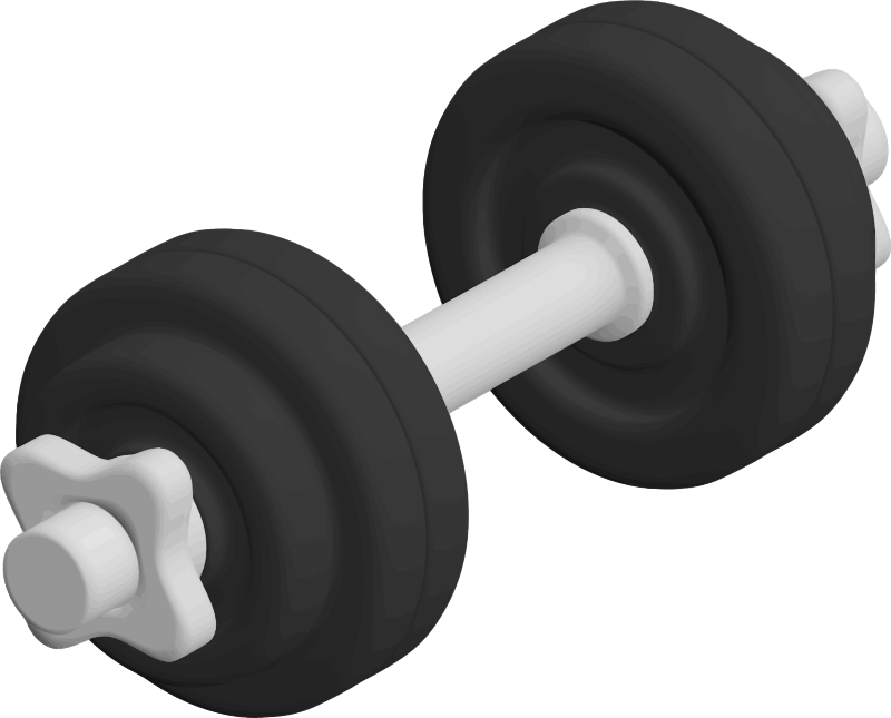 3D Dumbbell Model