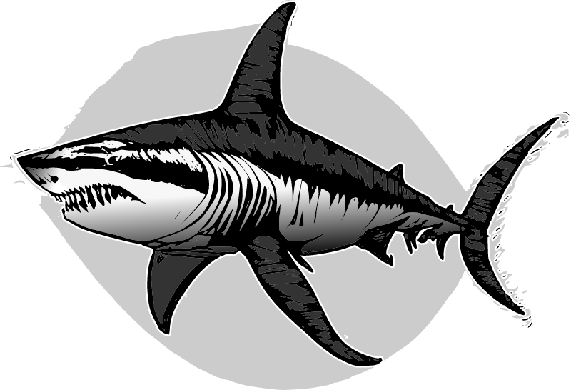 Shark