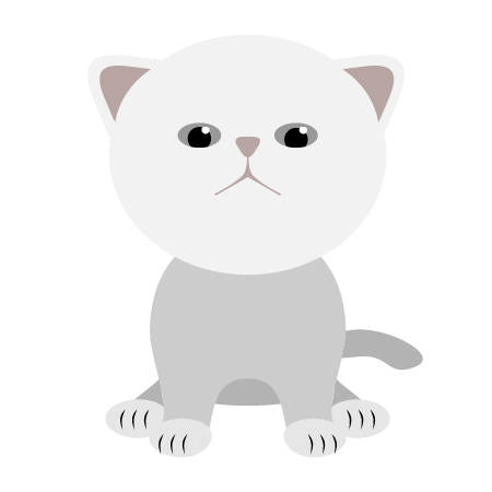 Sitting Kitty - Cute Cat
