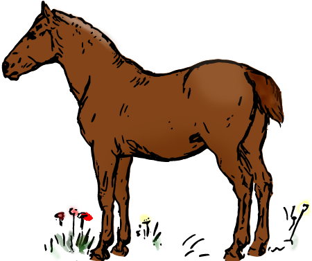Horse