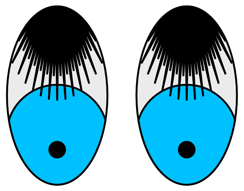 Bashful Eyes – Black Lashes