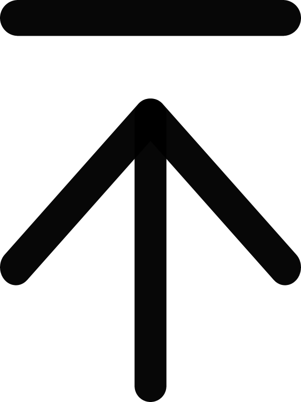 Raspberry Pi LAN Icon