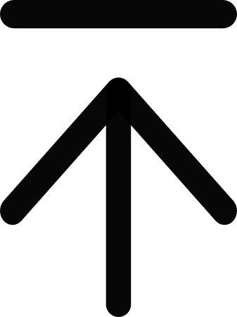 Raspberry Pi LAN Icon